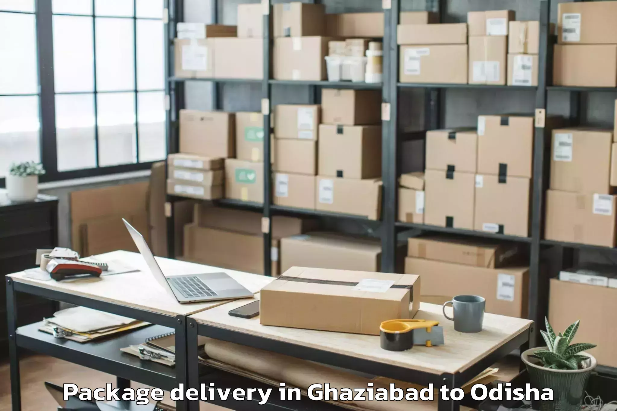 Discover Ghaziabad to Aul Package Delivery